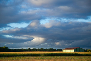 Électricien Champs-sur-Marne